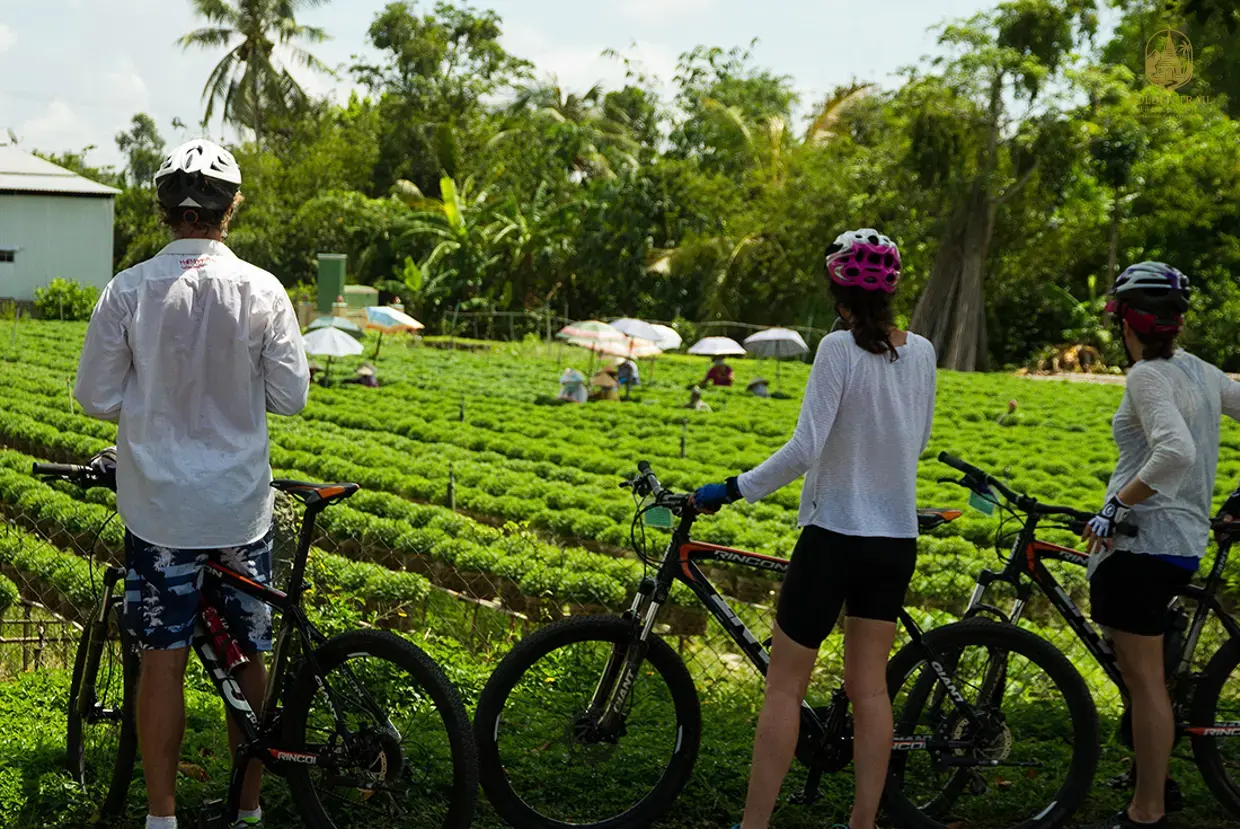 A Path Less Traveled: Discovering the Soul of Vietnam Through Backroads Cycling